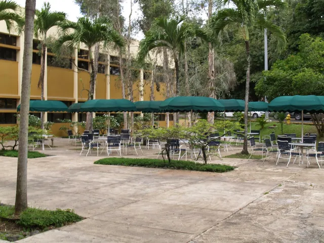 Universidad Central del Caribe