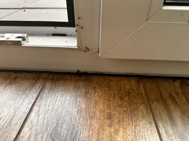 Riverside Apartament