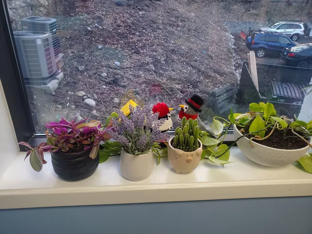 The Giggling Pig Art & Party Studio LLC