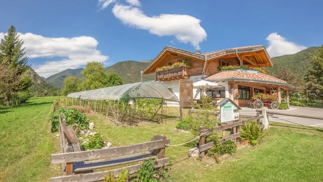 B&B fattoria dalla Patty