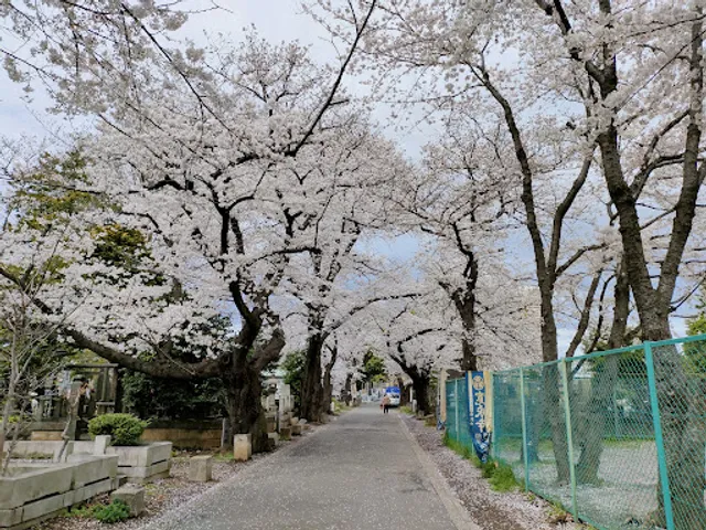 Yanaka Cemetery