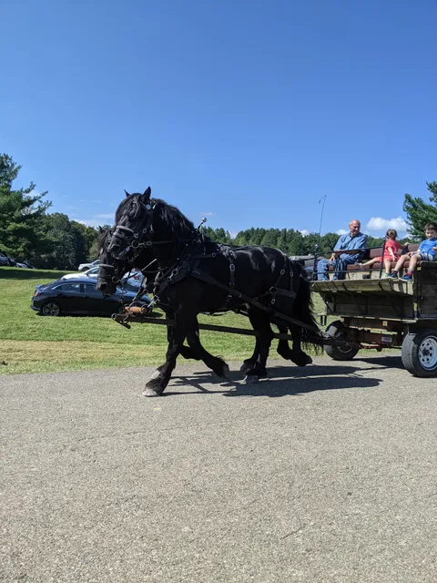Lake Snowden Campground