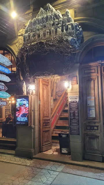 Patagonia Speechless