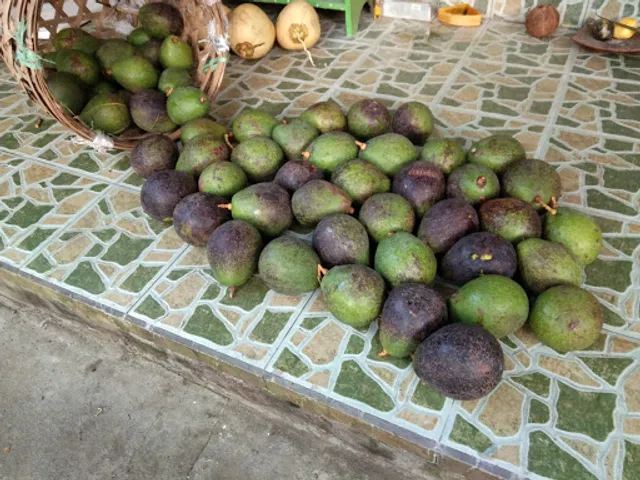 Side By Side Organic Farm