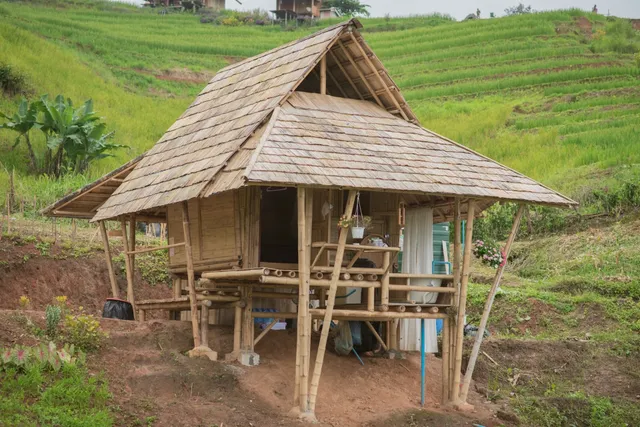 บ้านดอย โฮมสเตย์ บ้านป่าบงเปียง