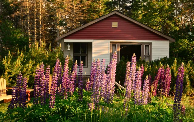 Goodview Cottages By Stanhope Beach