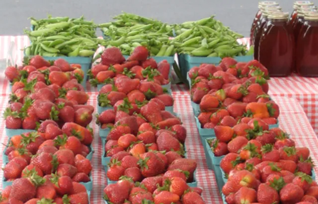 Fruitwood Farms, Inc.