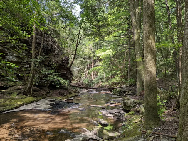 Fiery Gizzard North Trailhead at South Cumberland State Park