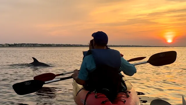 GoKayak! Dolphin Tours Virginia Beach!