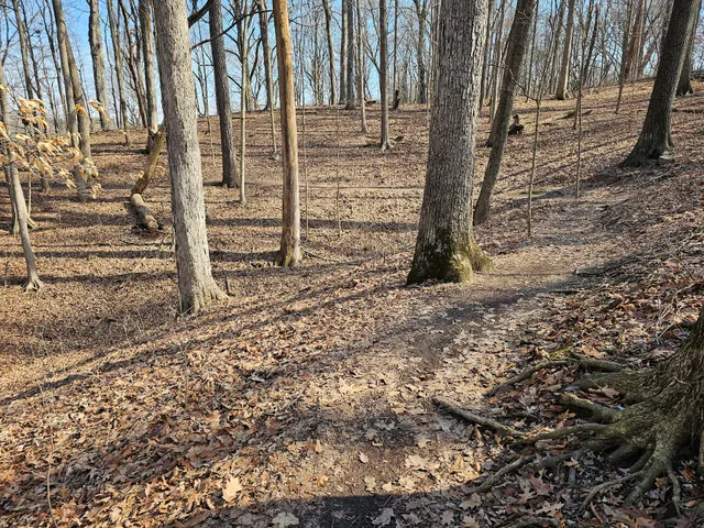 Lawrence Creek Trailhead Parking