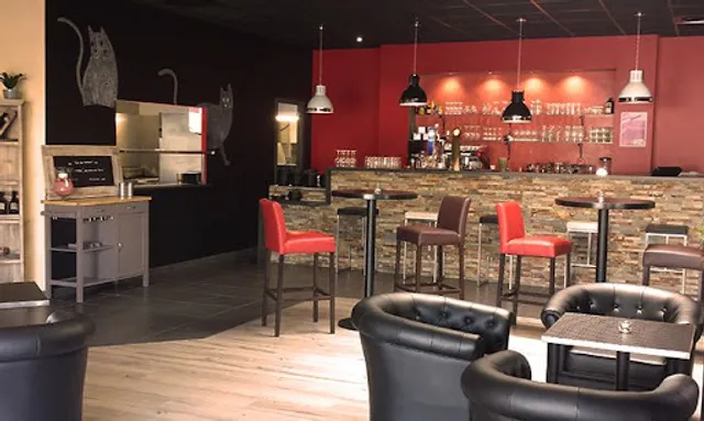 Chat Noir Chat Blanc