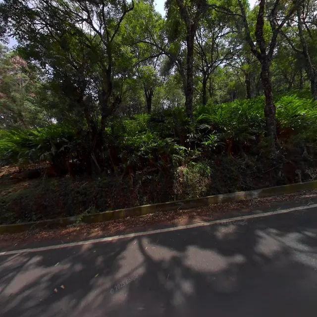 Munnar GAP Panorama :Home Stay