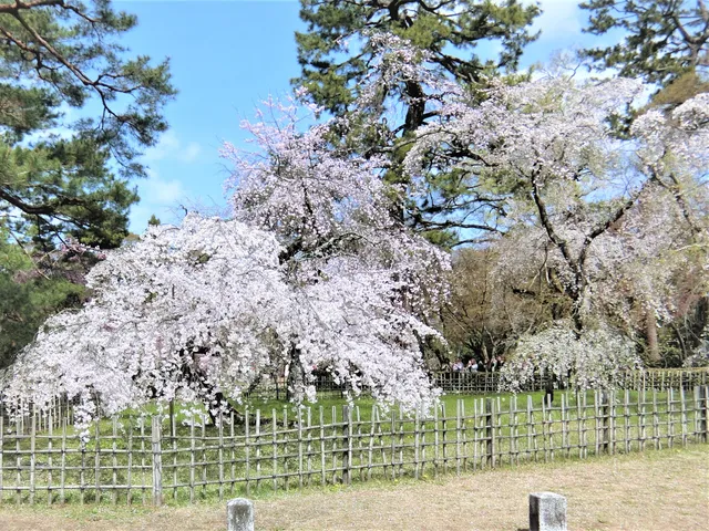 Site of Konoe Residence