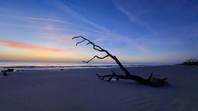 Jekyll Island State Park