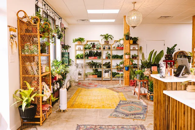 Wild Roots Plants + More