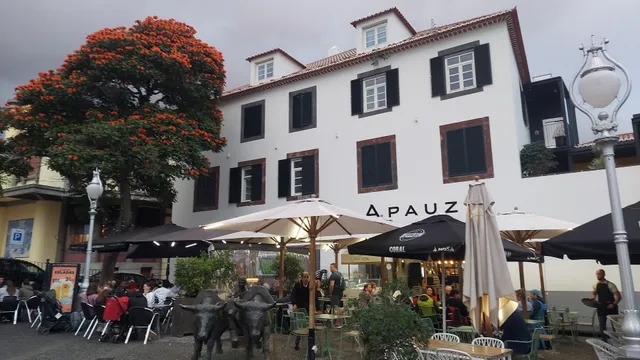 Viola Market - Stores & Studios