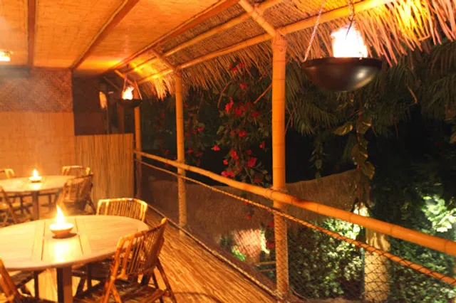 The Jungle ReTreat Ice Cream