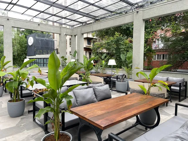 White Lotus: Food Vibe Folks