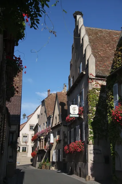 Le Grenier Des Arômes Au Domaine Wittmann