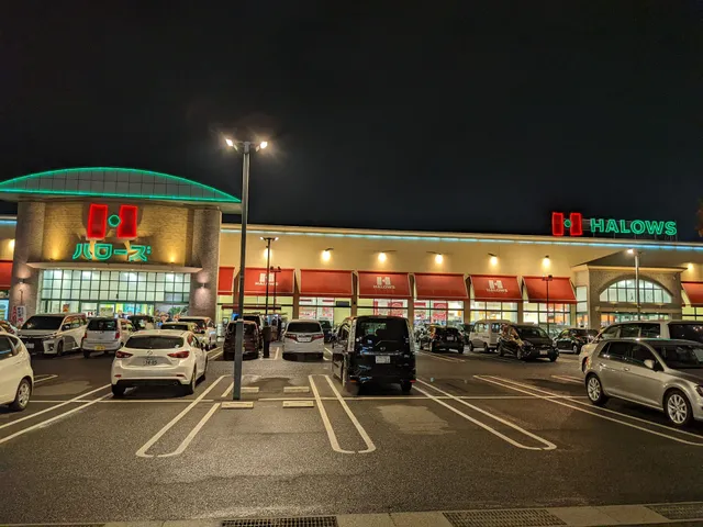 HALOWS Toshinden Store