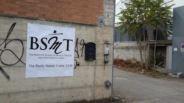 The Bernstein School Of Musical Theater