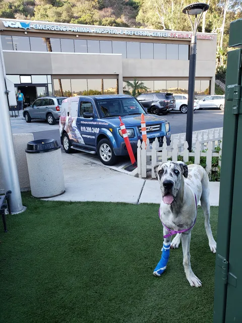 VCA Emergency Animal Hospital & Referral Center