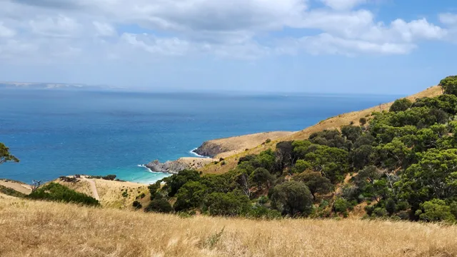 Cobbler Hill Picnic Ground
