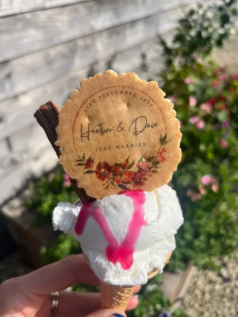 The Ice Cream Company