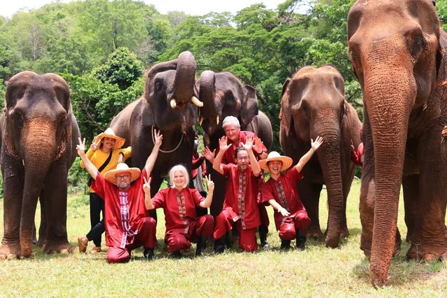 Elephant Rescue Park