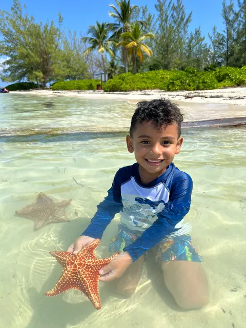 Cayman Ocean Adventures Stingraycity Tour