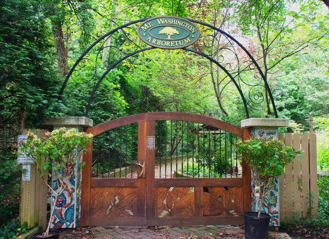 Mt. Washington Arboretum
