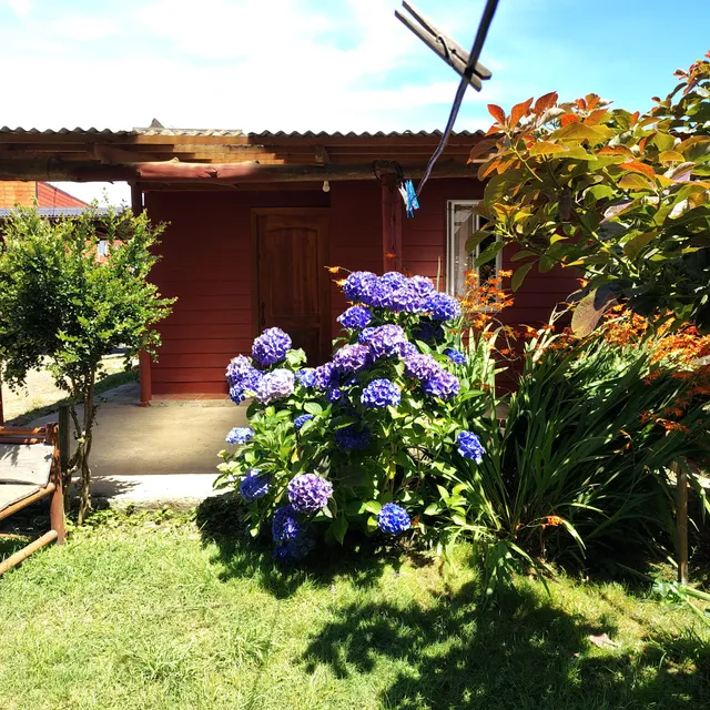 Cabañas Playas del Sur