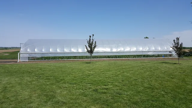 Five Points Heritage Farm