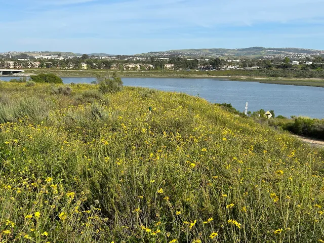 North Back Bay Trail