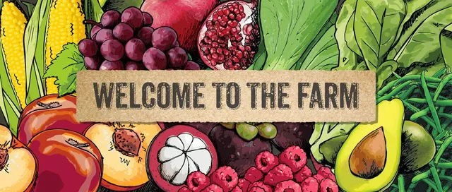 Harris Farm Markets Manly