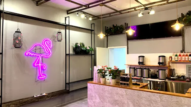 Flamingo - Tealicious