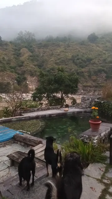 Shivanandi River Lodge