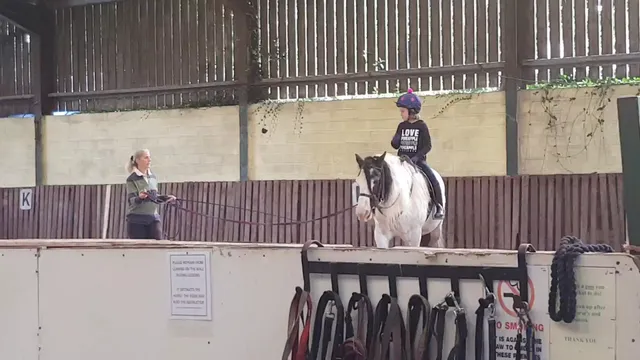 Easter Hall Park Stables