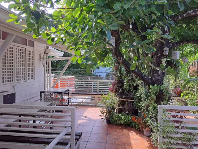 Orange Mangrove Pension House by SMS Hospitality