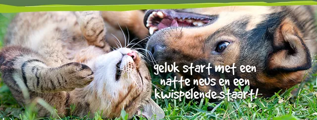 Dierenhotel De Breborgh