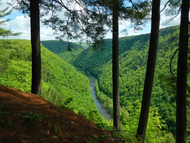 PINE CREEK OUTFITTERS, INC.