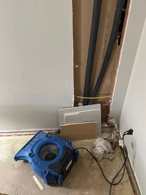 Phoenix Restoration Services