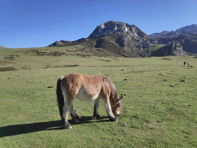 Casa Rural - La Llosa Celango