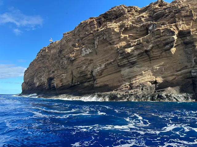 Maui Snorkel Charters