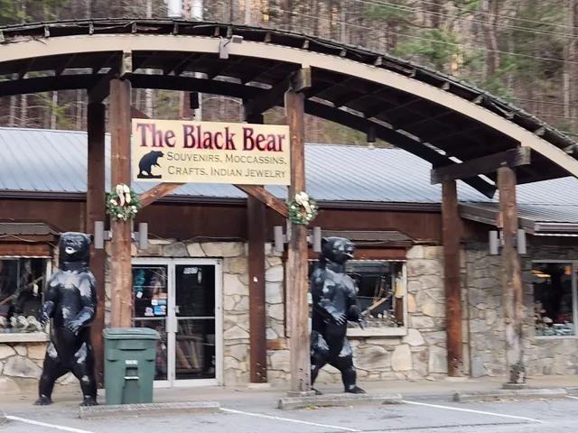 The Black Bear