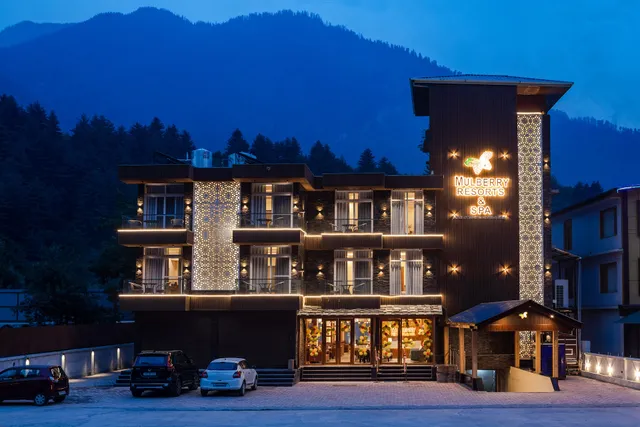 Mulberry Resorts & spa