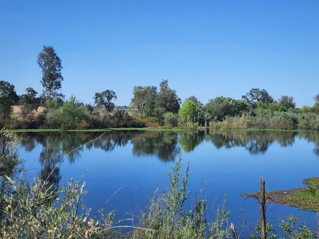 Wildwood Native Park