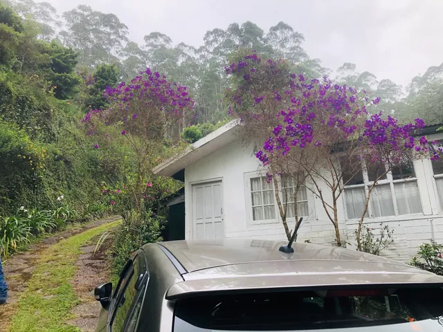 Dewheaven Cottage, Devikulam Munnar