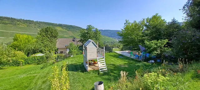 Ferienwohnung Moselpanorama