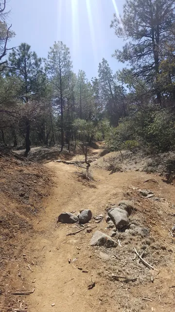 Little Walnut Picnic Area